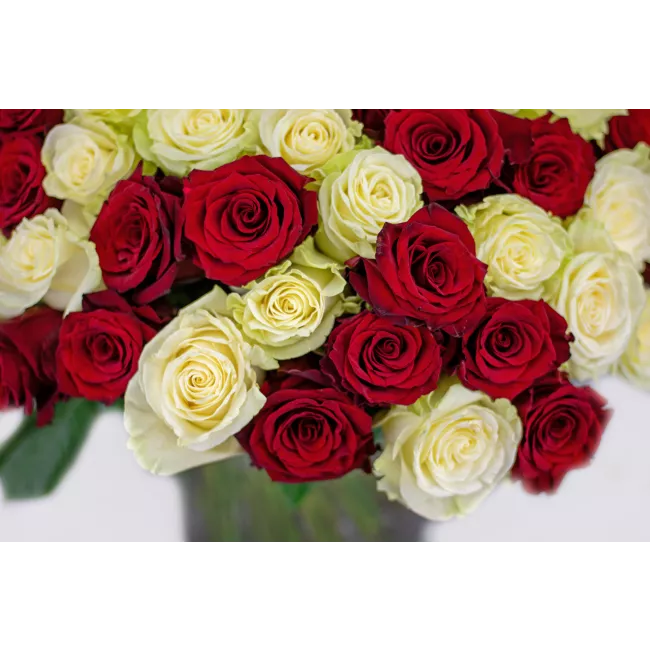 Boquet of white and red roses